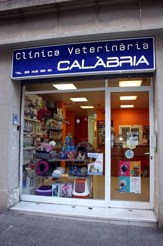 Veterinària Calàbria